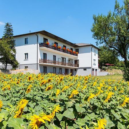 Gasthof-Pension Wein Breitenbrunn am Neusiedler See Extérieur photo