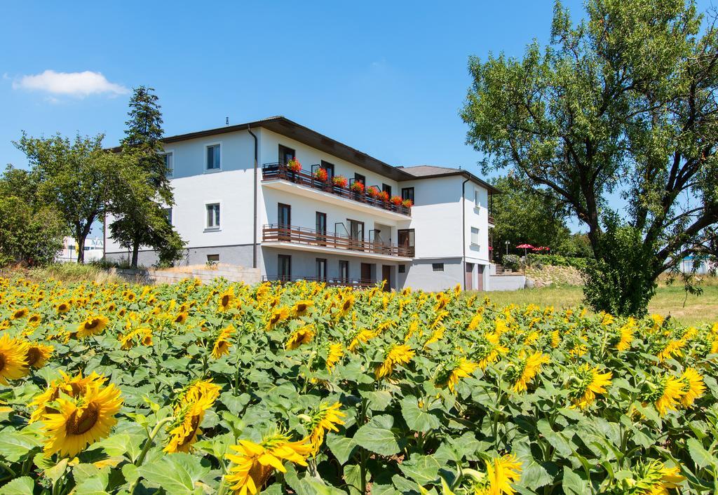 Gasthof-Pension Wein Breitenbrunn am Neusiedler See Extérieur photo